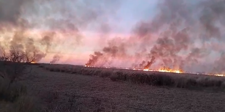 Importante isla del Delta, bajo fuego: Apuntan que es intencional y crece preocupación por las dificultad de contener las llamas
